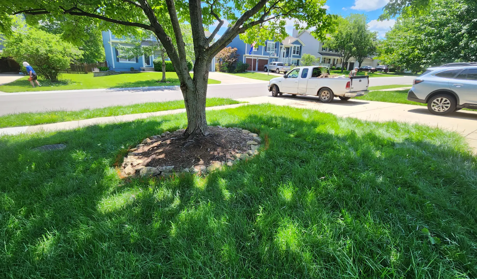 Existing low stone tree ring before replacement in Olathe